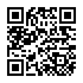 Lightning QR